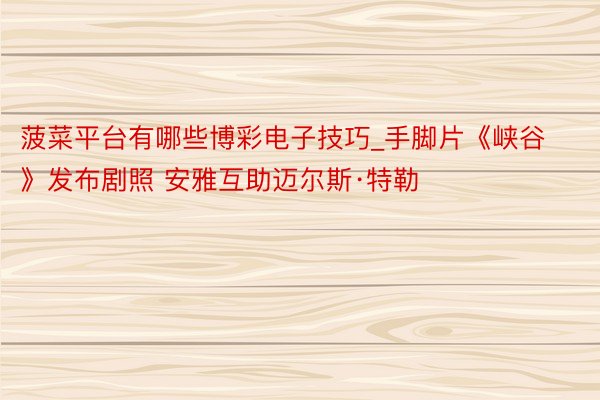 菠菜平台有哪些博彩电子技巧_手脚片《峡谷》发布剧照 安雅互助迈尔斯·特勒